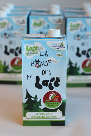 Brique de FéLAIT
